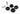Torque Solution Rear Lower Outer Control Arm Bushings 2008+ Subaru WRX/STI/Forester